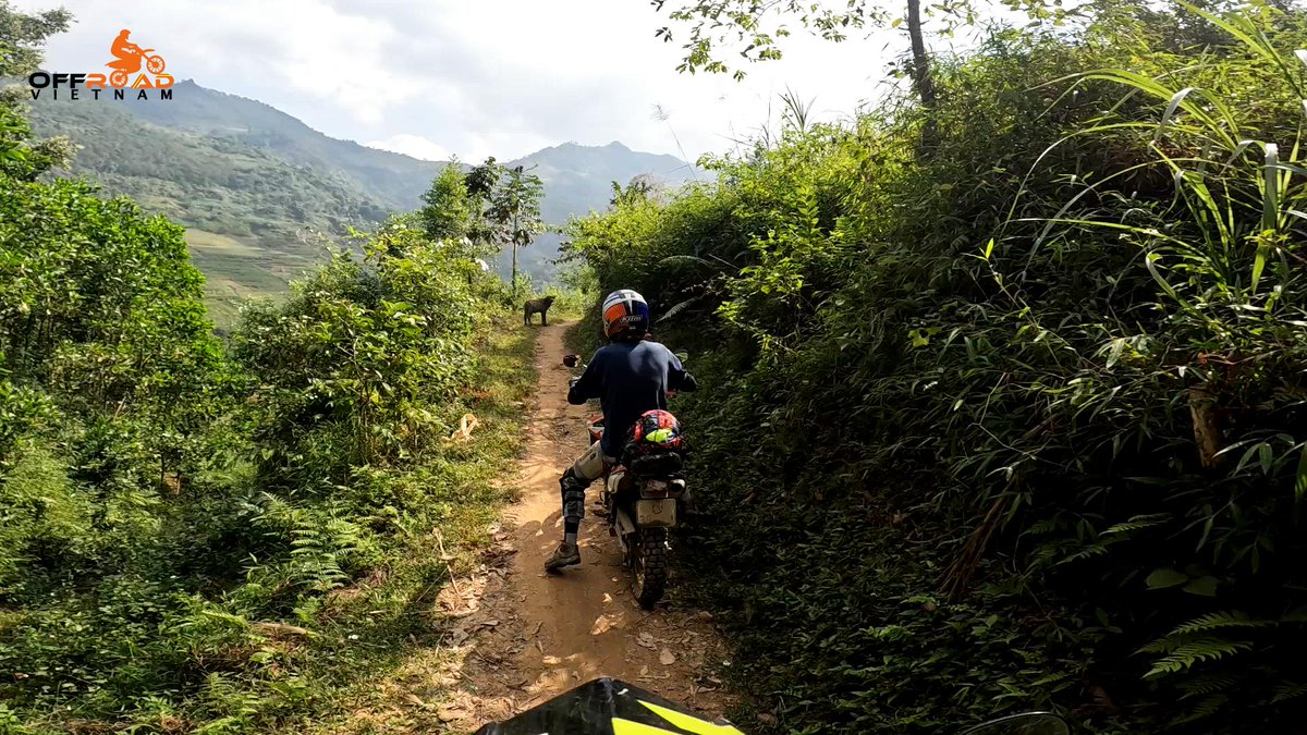 vietnambikers1's tweet photo. Difficult roads often lead to beautiful destinations. Letβs explore the untouched Vietnam. π
π» https://t.co/PuBYXXe7g6
#difficultroads #beautifuldestinations #untouchedvietnam #vietnam #xuhuong2023 #trending2023 #motorbike #motorcycle #tour #rental #honda #XR150L #CRF250L https://t.co/Zip15f8tyX