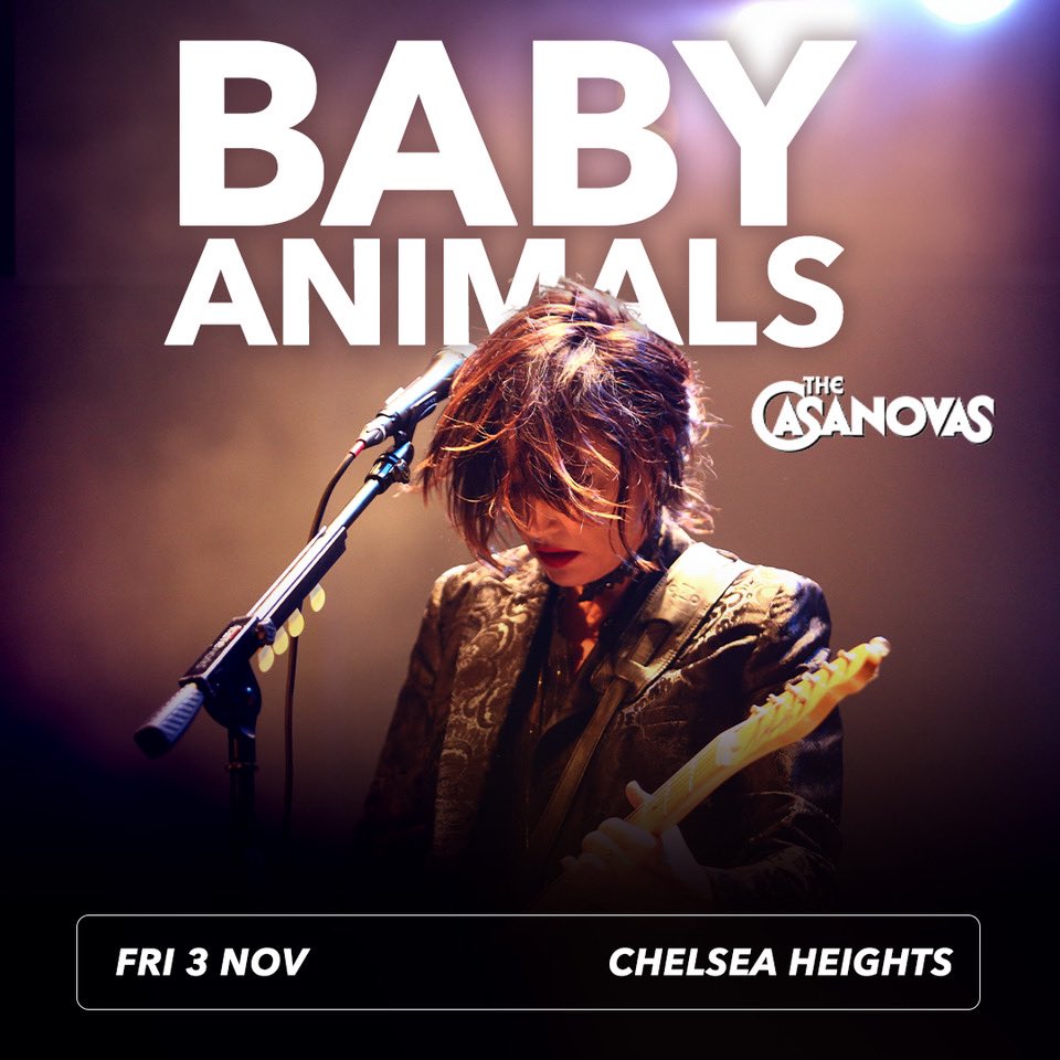 Baby Animals tweet media