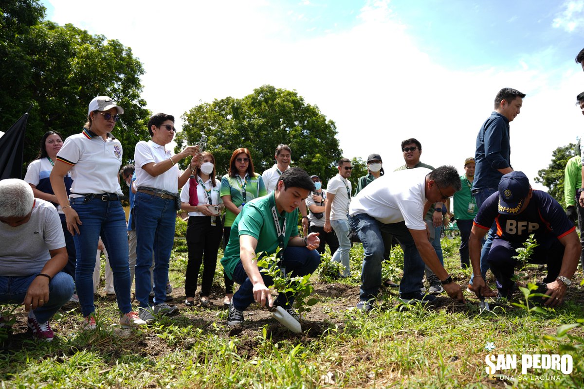 SanPedroPAIO's tweet image. The City Government of San Pedro held a Tree Planting Activity today, September 13, 2023, 9AM at the Sampaguita Nursery Farm, Brgy. Rosario. See full details here: tinyurl.com/yce4jthh

#HBDPBBM
#LABForAll
#BagongPilipinas