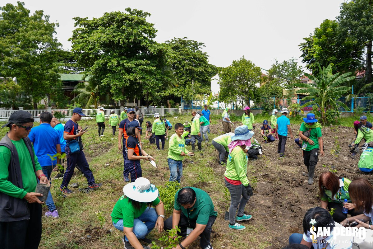 SanPedroPAIO's tweet image. The City Government of San Pedro held a Tree Planting Activity today, September 13, 2023, 9AM at the Sampaguita Nursery Farm, Brgy. Rosario. See full details here: tinyurl.com/yce4jthh

#HBDPBBM
#LABForAll
#BagongPilipinas