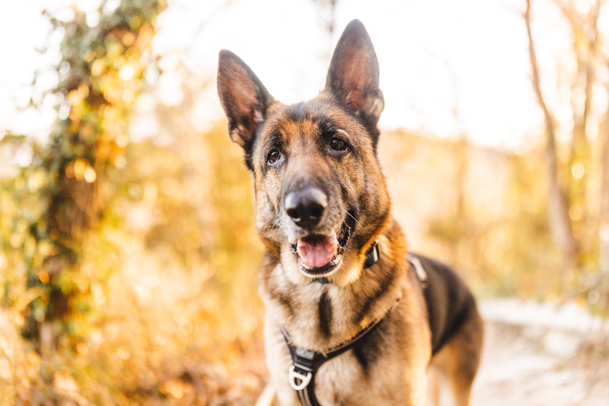 Nachobillyanna tweet media