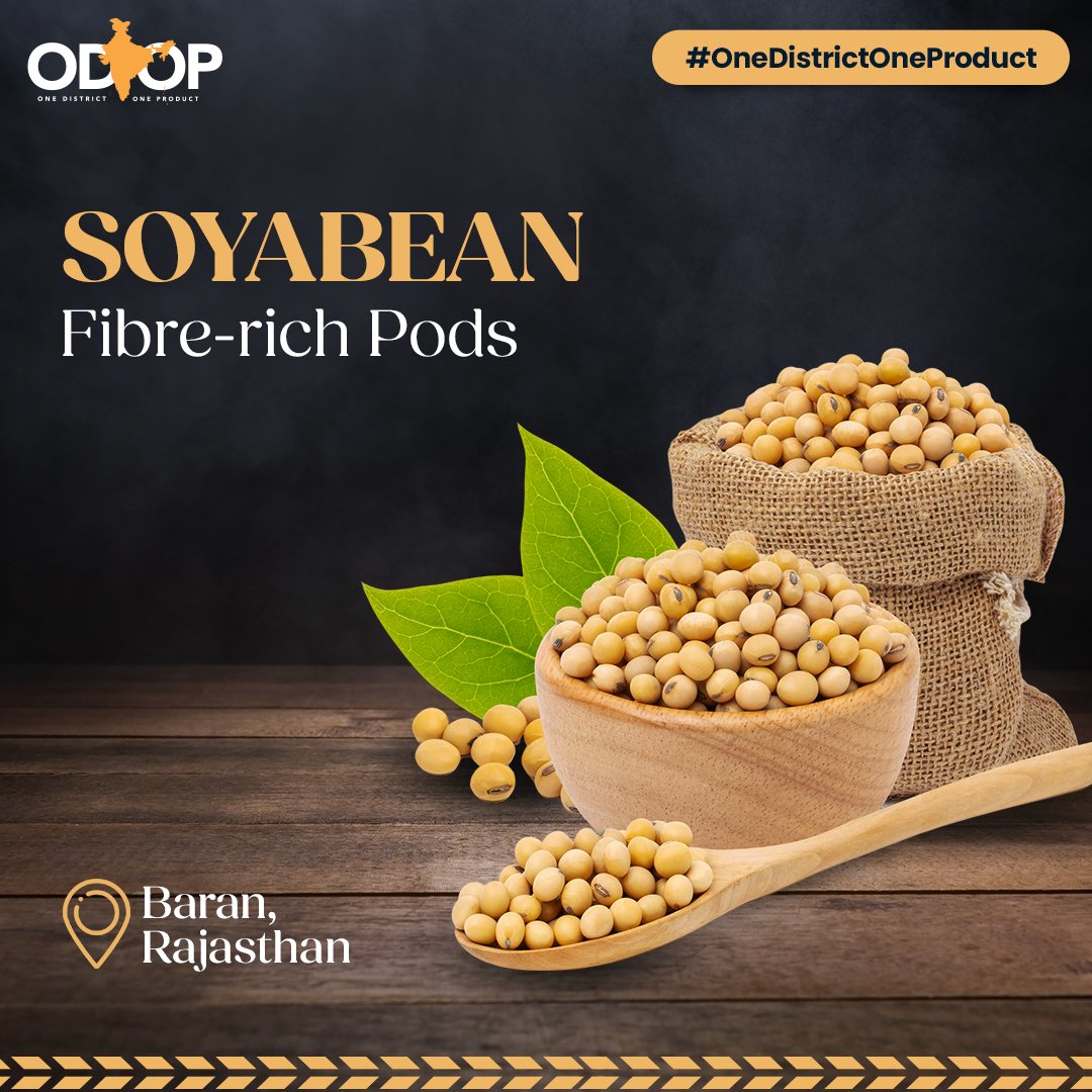 Favourable climate, soil conditions, & modern techniques synergise in the Baran district of #Rajasthan, enabling the production of top-quality soybeans rich in protein & oil.

Know more bit.ly/II_ODOP

#ODOP #InvestInRajasthan #OneDistrictOneProduct #IndianAgriculture