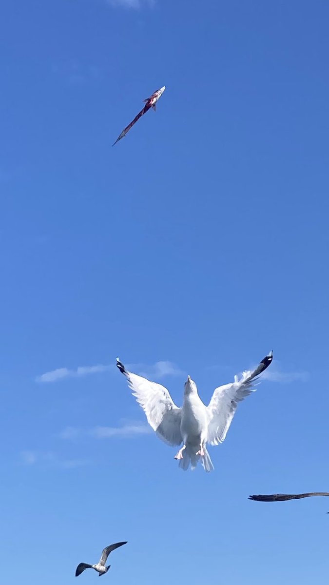 Lyonse00's tweet photo. @MrWhoCapture @NatGeoPhotos @earthcurated @ithefelizer @viewbug @viewsoff_ @pictures https://t.co/15OPERxfNt