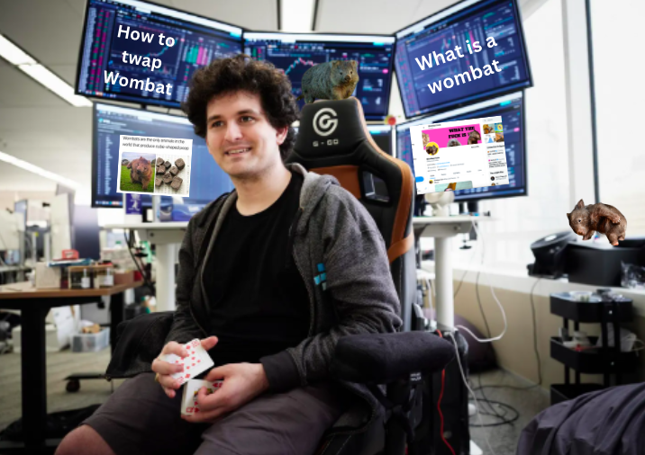 WombatCoinErc's tweet photo. Sam Getting Ready To Make It All Back In One Trade Doing Some Due Diligence On $Wombat https://t.co/PcouQARxSY