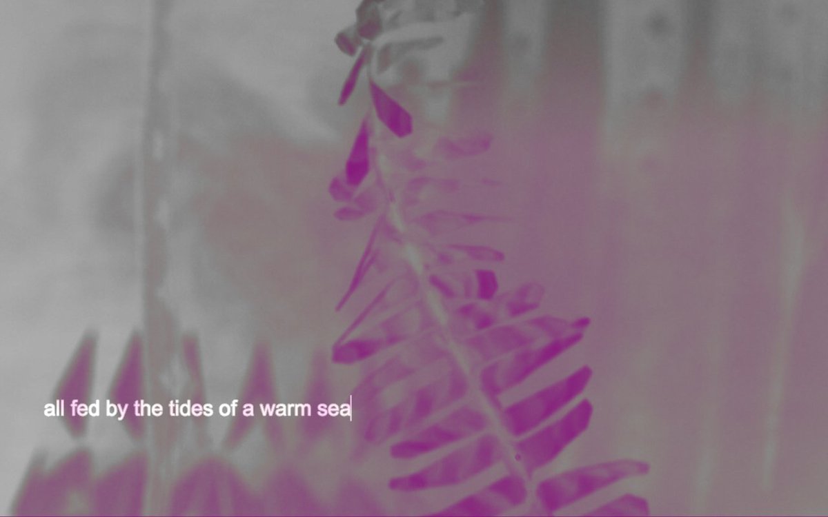 Chester Contemporary presents 
premiere of a new performance work from the Turner-prize winning Elizabeth Price.

HORSETAILS

Sunday 24 Sept
7pm - 8pm
Chester Cathedral

Thanks to <a href="/navechoir/">Chester Nave Choir</a> &amp; Vocal Composer Beth Allen.

FREE - booking essential

To book: chestercathedral.ticketsolve.com/ticketbooth/sh…