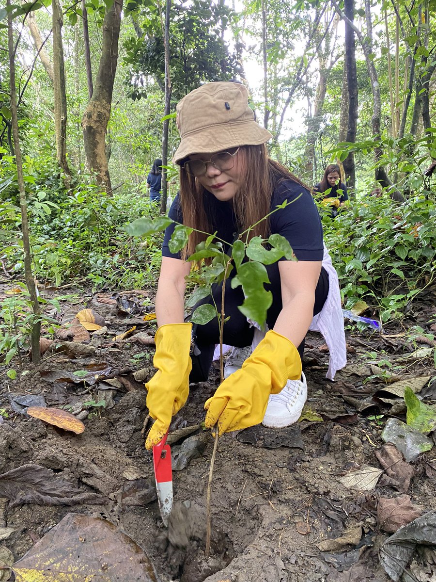 dotrmrt3's tweet image. LOOK: The DOTr MRT-3 conducted a tree-planting activity on Wednesday, September 13 at the La Mesa Watershed in Novaliches, Quezon City.

FULL STORY: facebook.com/10006888629309…

#HBDPBBM
#LABForAll
#BagongPilipinas