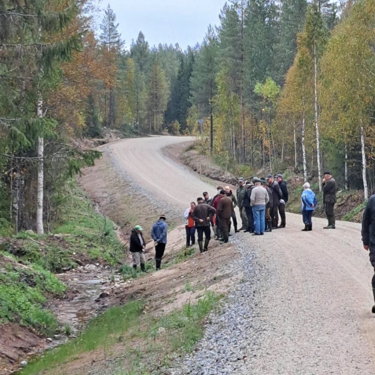 Saripaivi's tweet photo. Suomussalmen perukalle suuntautui retkeily #potkualuonnonhoitoonkainuussa #metsäkeskus #vaaranniva #rumpuesteetpois #kulotus #temepa #ennallistaminen #ympäristötuki #pefc #fsc #säästöpuu #suojavyöhyke #akyllönen #helmi #luotu https://t.co/s6grzjMzPe