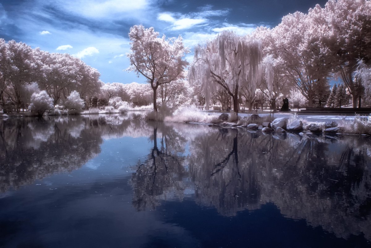 Recep_Nft's tweet photo. @JSZ_NFT_Photo @objktcom “Infrared Garden”
17/20
5 $XTZ
https://t.co/9GdxlBKNy0 https://t.co/zsMxcNitTk