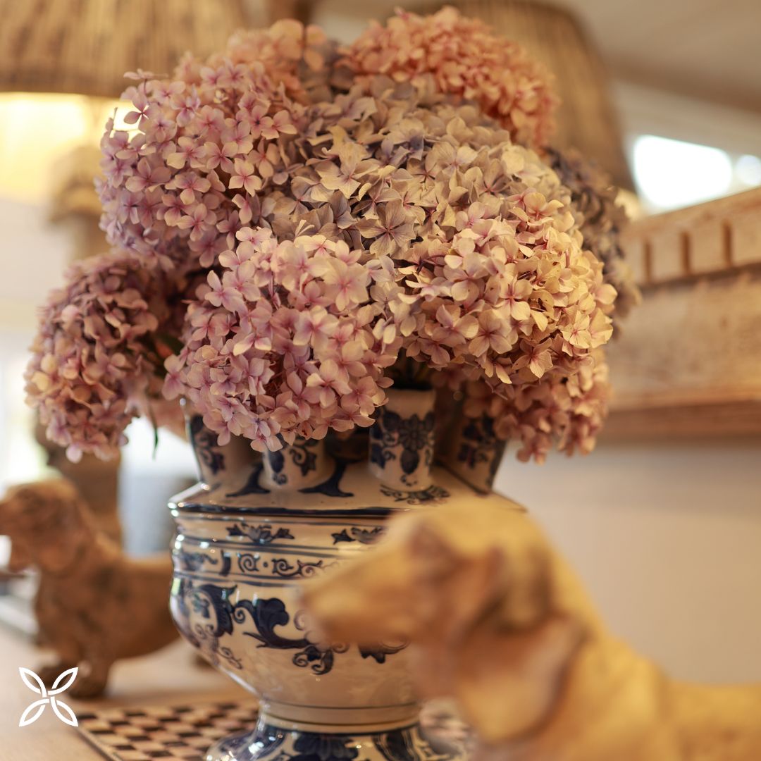 Hydrangeas at home 💜 This beautifully bold flower can be found in many different shades throughout the year, with bright pinks and blues to be found in summer and rustic reds and purples found in the autumn winter months! 📷 @leonorasmee