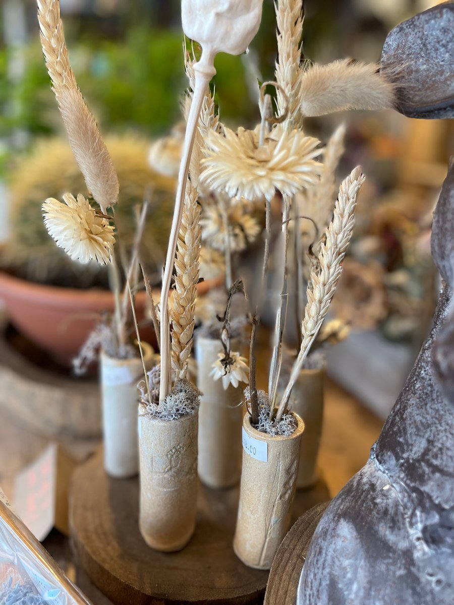 Vinetta Flower Gallery tweet media