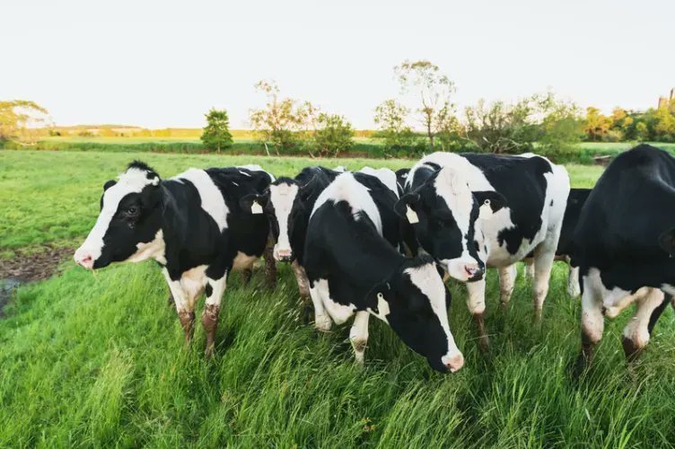 WiseDigits's tweet photo. #Milk production tracking
#Inventory management
#Sales and financial management
Personnel #management 

https://t.co/MfoZeiV9OH https://t.co/XNLQ4cuff9