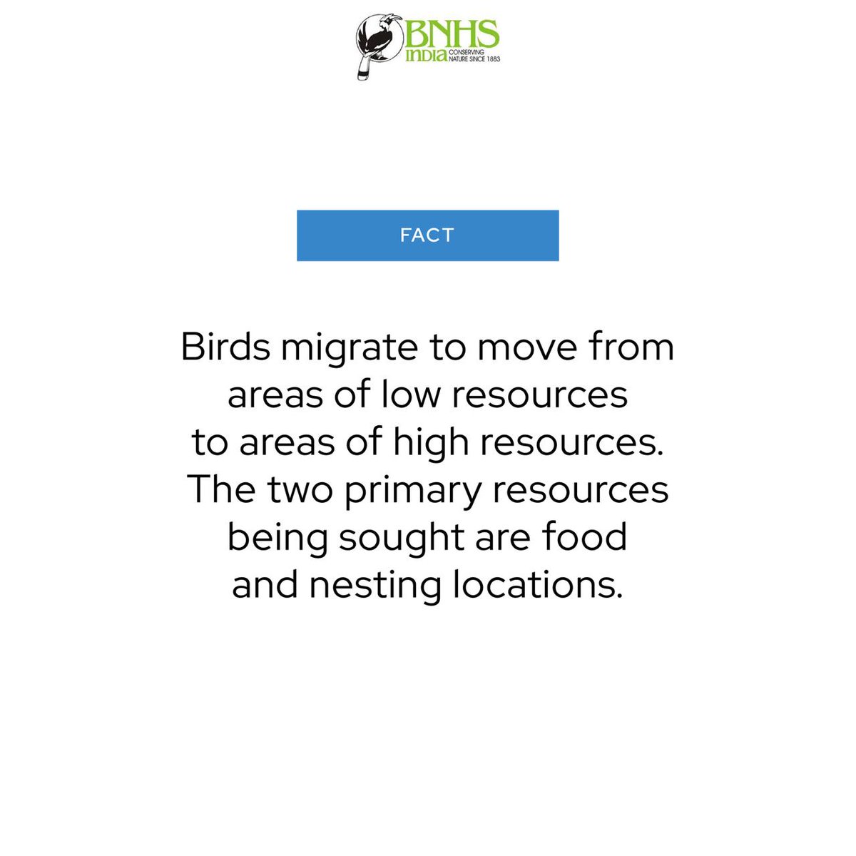 BNHSIndia's tweet photo. Mumbai's Feel Pretty In Pink Flamingos migrate yearly to Mumbai and are a sight you shouldn't miss! But have you ever wondered why?
#FactOrFiction #LearnWithBNHS https://t.co/5nioTDpPj6
