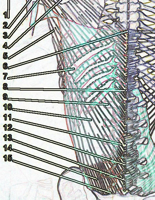 Website under construction as we switch hosting services. See you next week for relaunch. Today is 9/12/2023