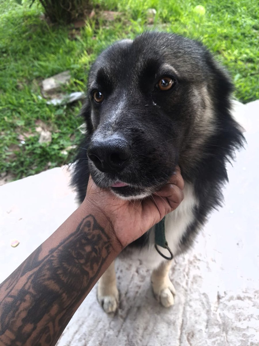 Don Heisenberg tweet media