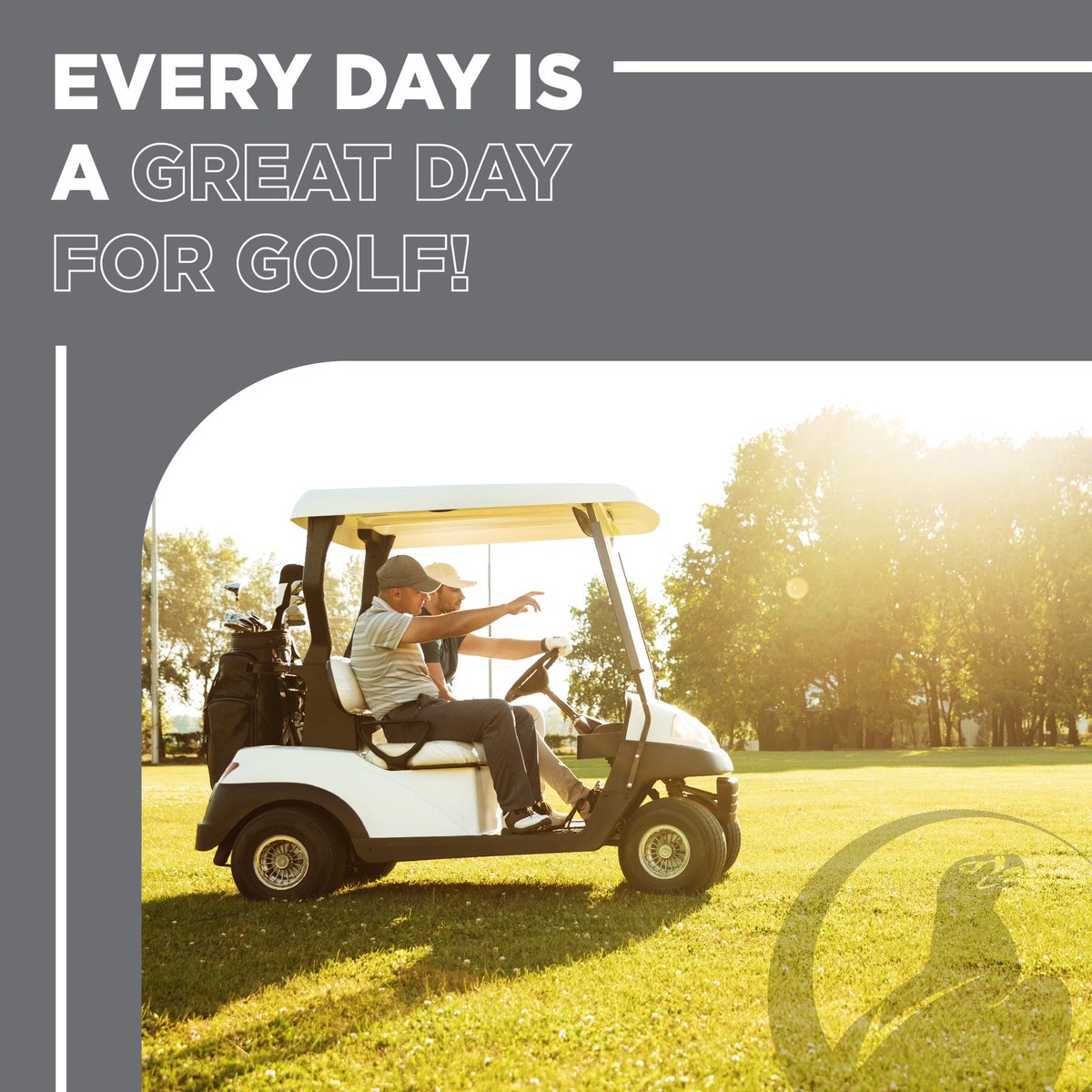 Ruimsig Country Club tweet media