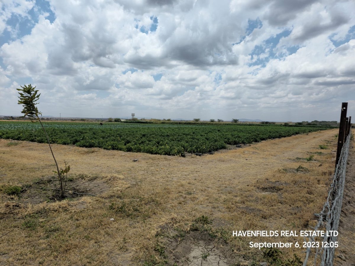 jayne_kareithi's tweet photo. You don't need to keep searching for a perfect location to set up a home for you and your https://t.co/RInwoOti1m 0745927949 we give you the best place to invest
#havenfieldsrealestate
#aplaceofpeace
#installmentplots https://t.co/8jRJE3XlsO