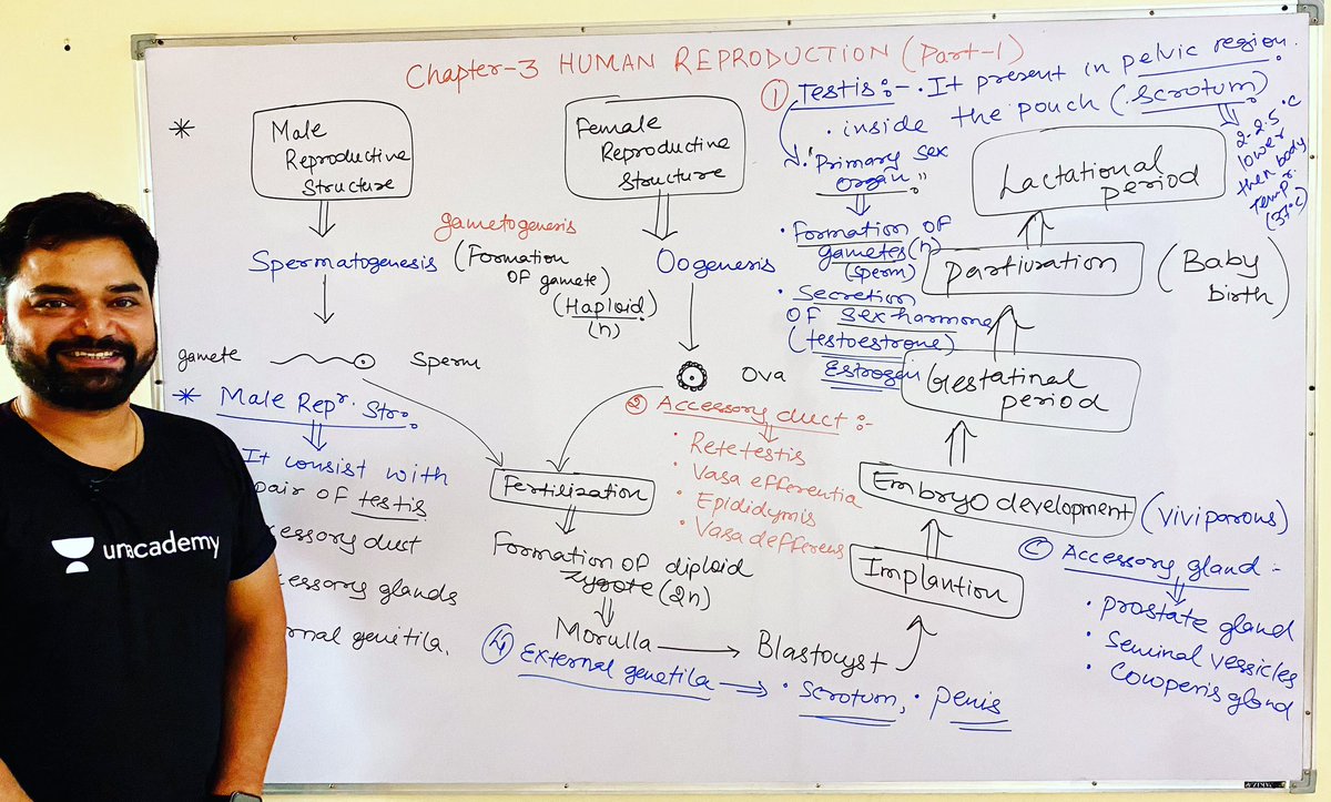 imBioMaster's tweet photo. Human reproduction✌️😀

@imsujeet91 
#pw  #byjus  #allen #aakashinstitute #aakashbyjus #physicswallah #sankalp #neetexam #neetbiology #neetpreparation #neetcoaching #doctors #unacademy #biologyteacher #biology #cucet #students #student #linkinbio #bio https://t.co/dGnVmMw3PK