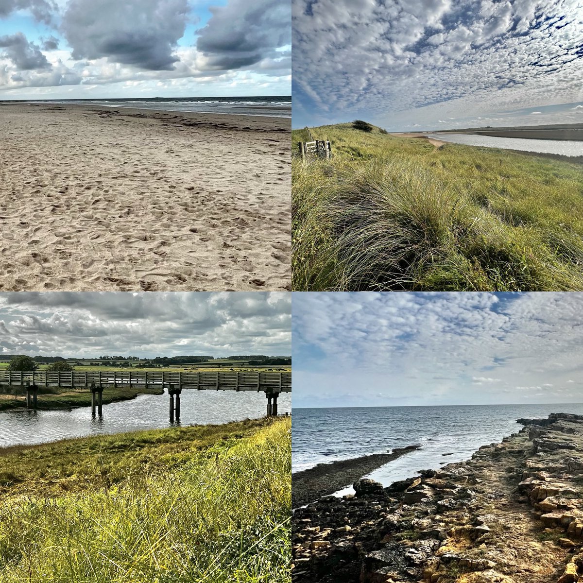 Shores before chores … where’s your happy place? #northumberland #beachdays #coastalliving