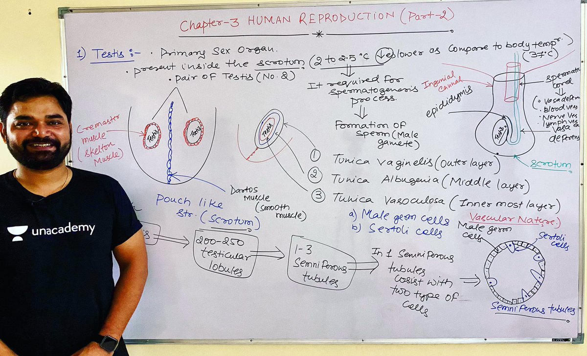 imBioMaster's tweet photo. Human reproduction✌️😀

@imsujeet91 
#pw  #byjus  #allen #aakashinstitute #aakashbyjus #physicswallah #sankalp #neetexam #neetbiology #neetpreparation #neetcoaching #doctors #unacademy #unacademyneet #edtech #edtechteachers #edtechstartup #educational #neet2024 #humanphysiology https://t.co/hfKS0Eb4xJ