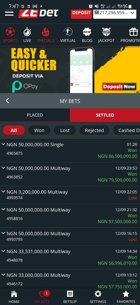 Zebet Casino Interface