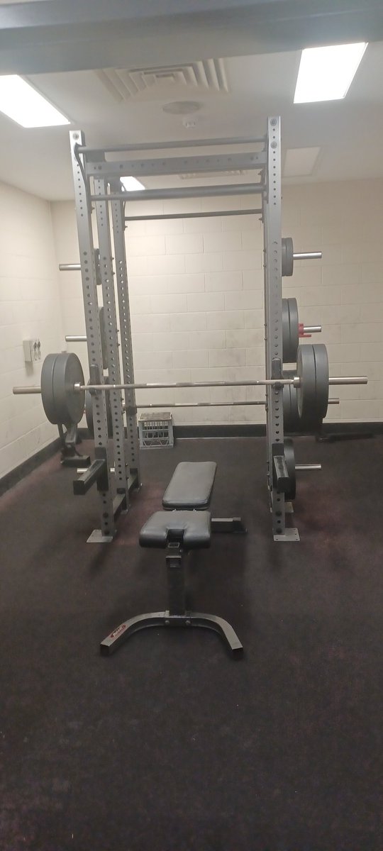 Ludo Didymusⓥ tweet media