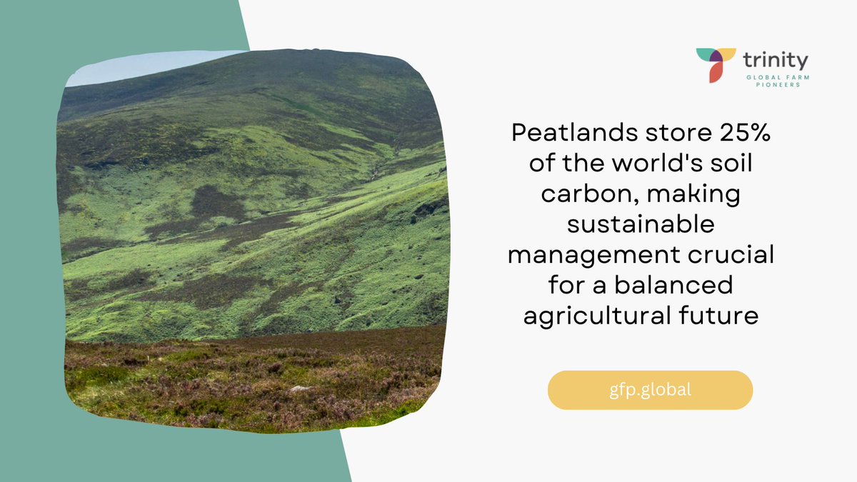 Trinity Global Farm Pioneers tweet media