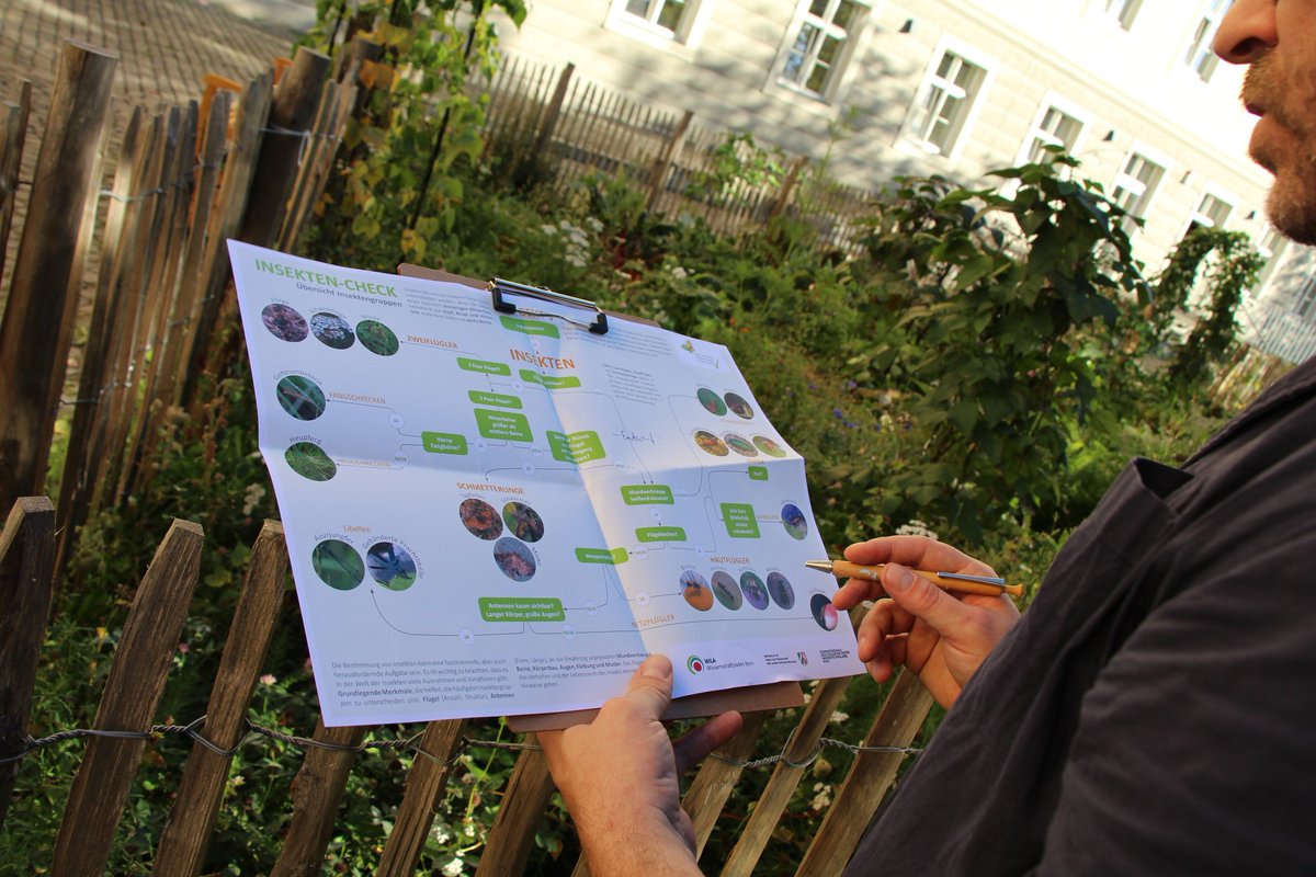 "Tiere pflanzen" im eigenen Grün – letzte Woche war der letzte Insekten-Check-Workshop von <a href="/VHSBonn/">VHS Bonn</a> und <a href="/WILABonn/">WILA Bonn</a>, gefördert vom Ministerium für Kultur und Wissenschaft NRW. Vielen Dank an alle, die mitgemacht haben! Mehr zum entwickelten Insekten-Monitoring folgt! #Biodiversität