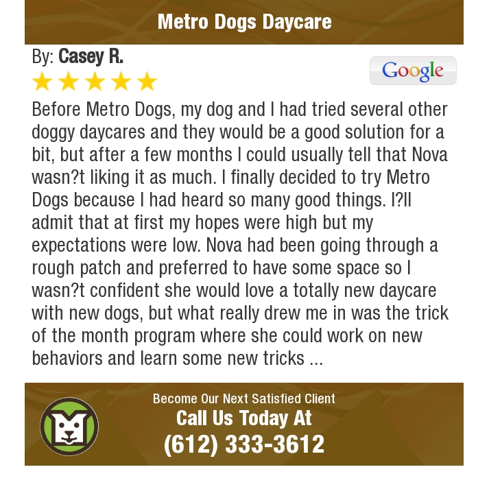 MetroDogsMN's tweet photo. 5 Star: Casey R. "Before Metro Dogs, my dog and I had tried several other doggy..." https://t.co/NQp2NKBM3A https://t.co/4ggKFJq7OY
