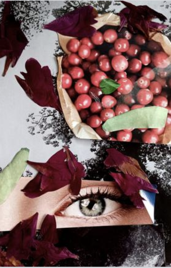 Mud Season Review tweet media