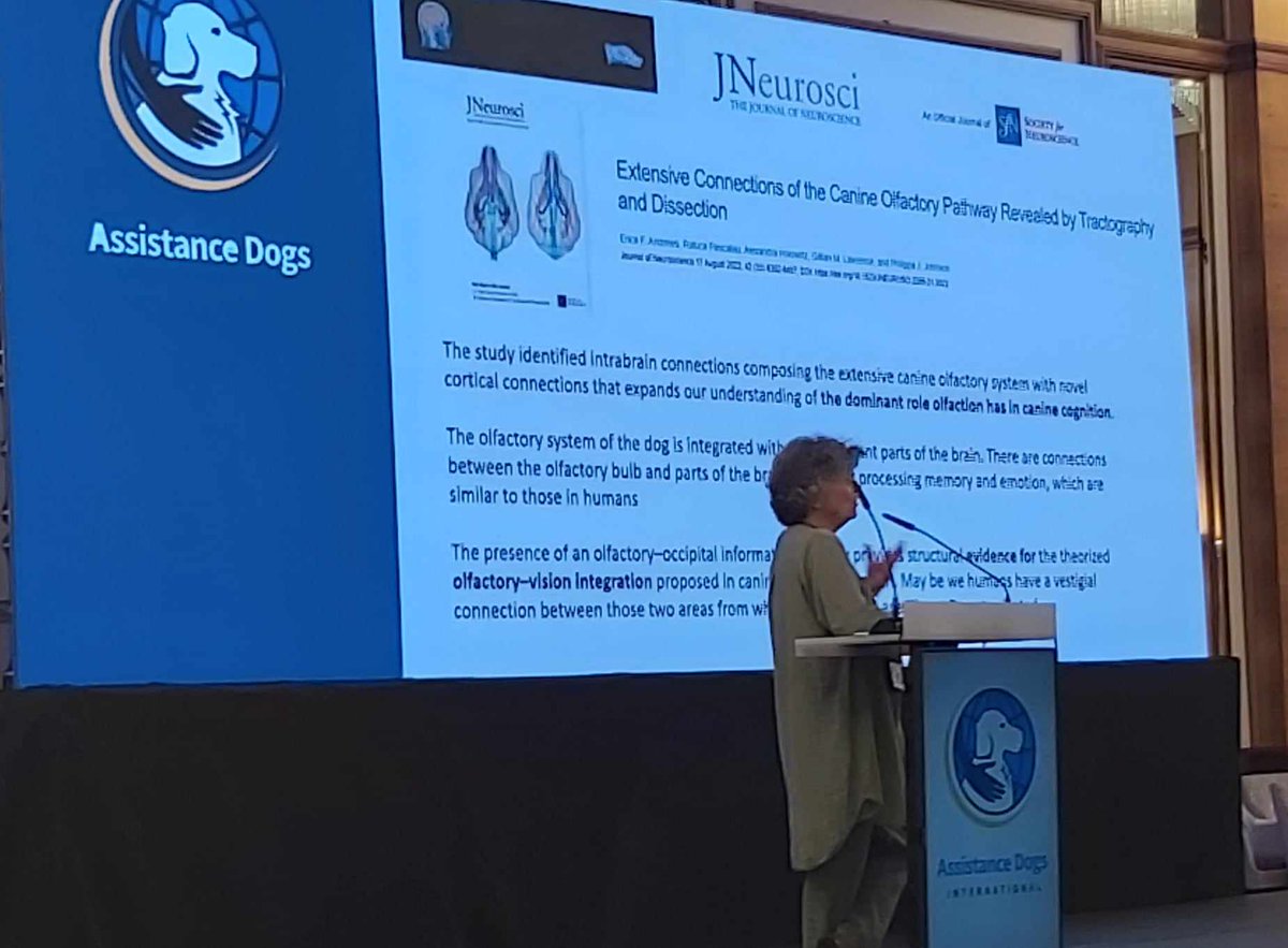 Some fascinating insights from Professor Silvja Philipps Reichherzer into Applied Neuroscience in Interactions between Clients and Dogs. More valuable tools to help our members create Paths to Positive Partnerships. #ADITogether #LifeChangers #assistancedogs