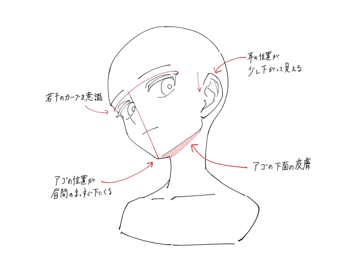 アオリ構図の顔を描くときのポイントメモです。 