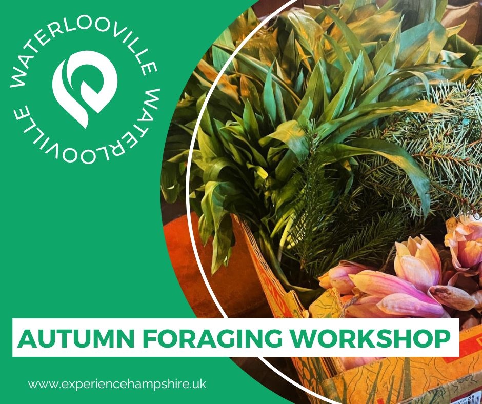 Experience Hampshire tweet media