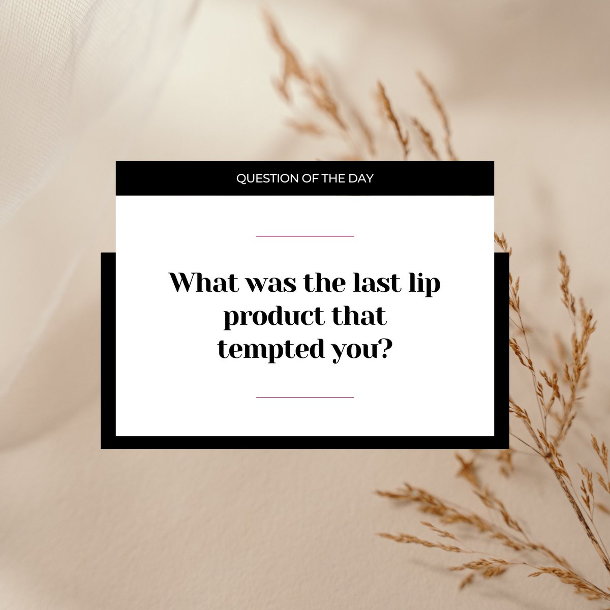 Temptalia tweet media