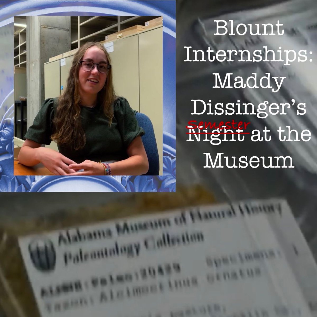 This #WhatsUpWednesday, check out the amazing internship Blountee Maddy Dissinger recently completed: She spent Spring 2023 learning to curate fossils in @uamuseums' paleontology collection, including helping develop and create the collections’ new labels! collections.museums.ua.edu/2023/08/29/the…