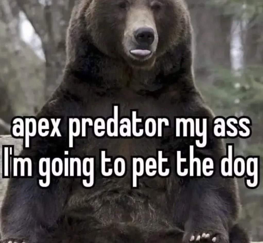 brain damage tweet media