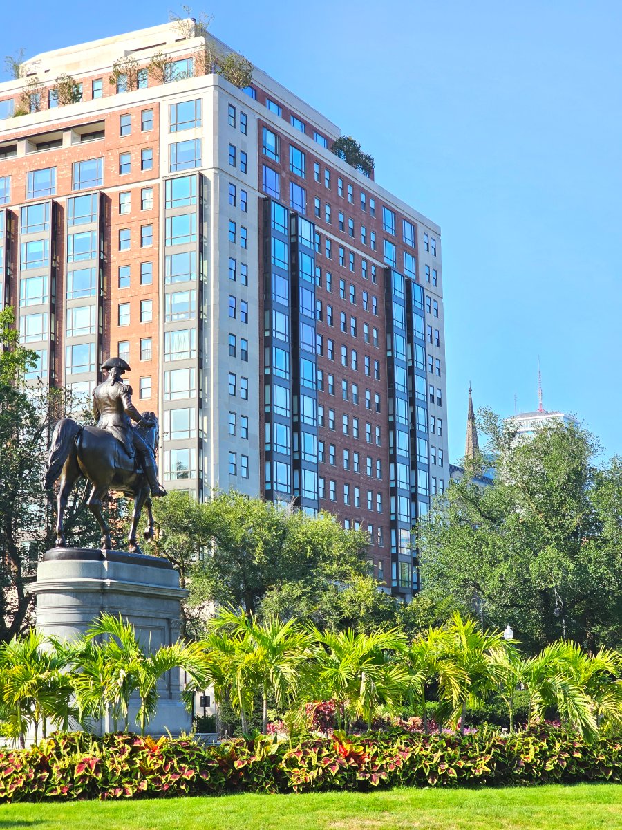 The palm trees of Boston Public Garden are transferred in the fall to a greenhouse to hibernate for the winter and spring.

🌴