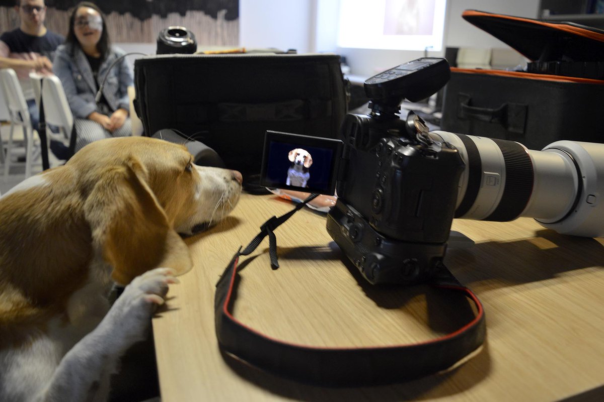 Un inicio de curso con Bonnie, Bosco y Uva y con masterclass de Emilio Cuenca, conocido <a href="/fotografoperros/">elfotografodeperros</a>  como profe. ¿A alguien se le ocurre una manera mejor de retomar las clases para los chicos del Taller de Fotografía Inclusiva? ¡Muchas gracias Emilio y también a Candamín!