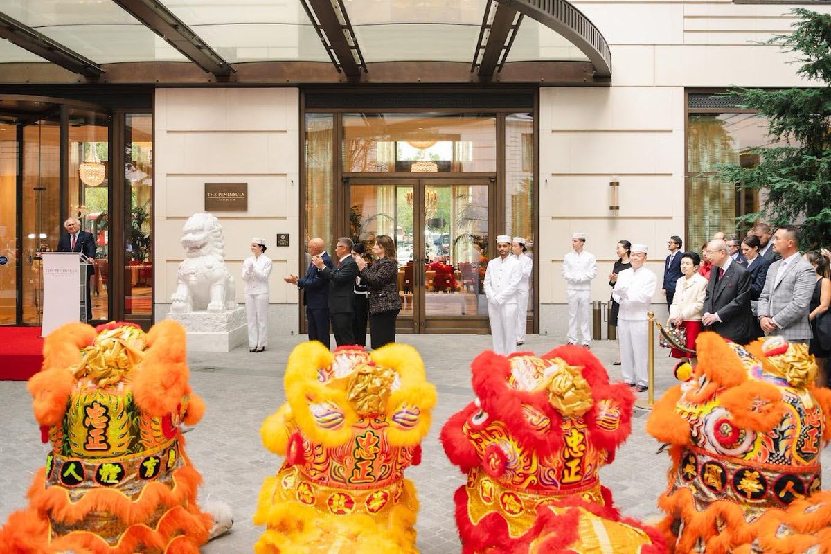 Lynne Mulholland tweet media