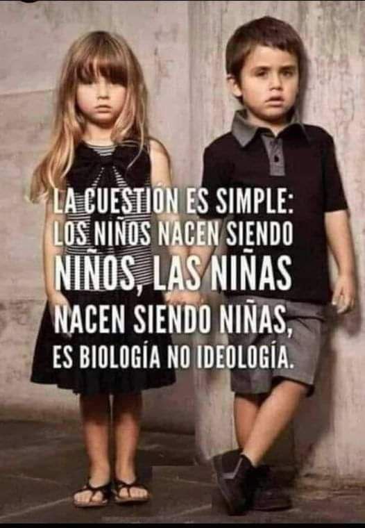🔄 Si estás de acuerdo 👇