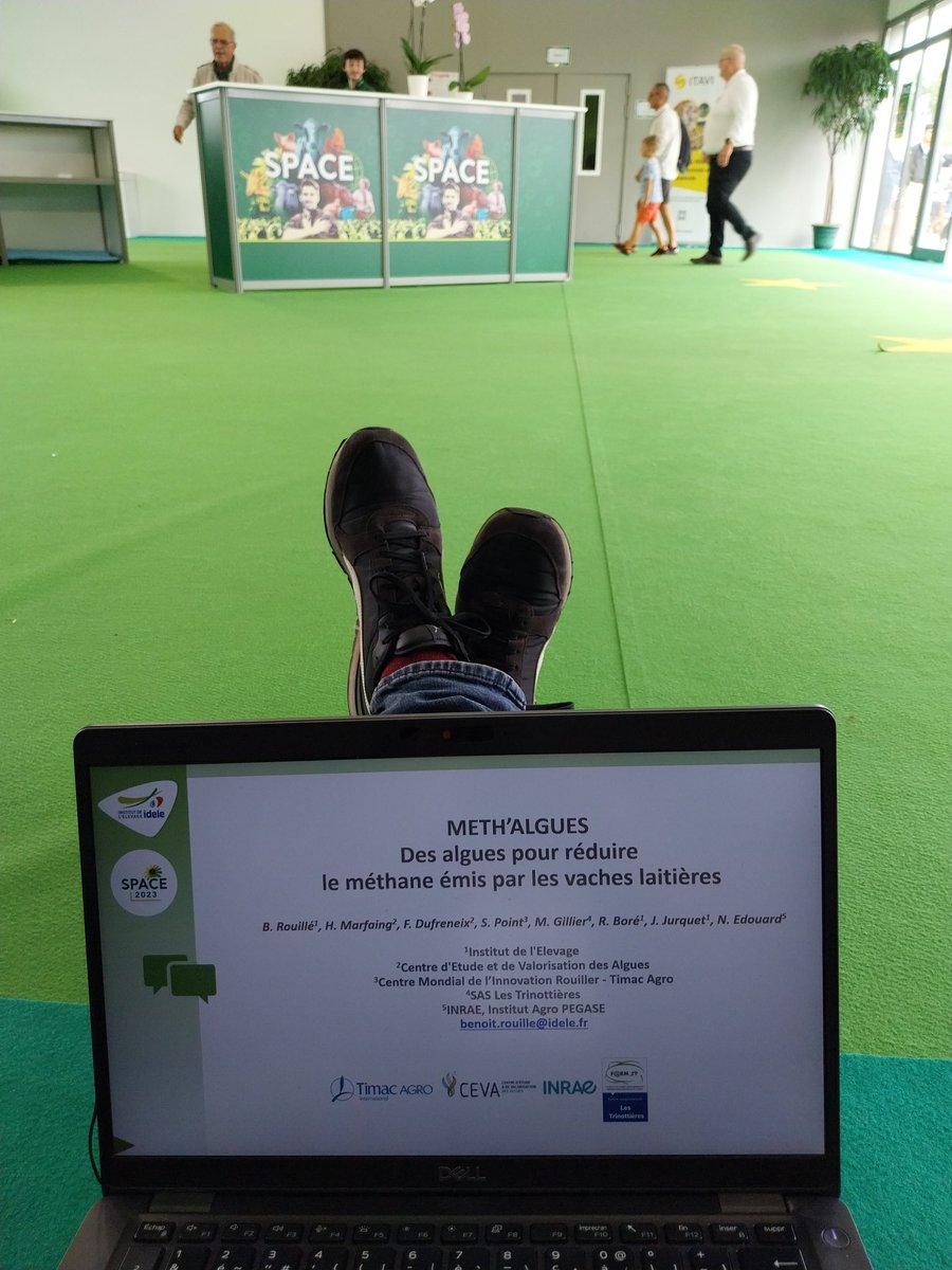 B_Rouille's tweet image. Quand tu révises 20 minutes avant ta conférence...

#METHALGUES #Space2023