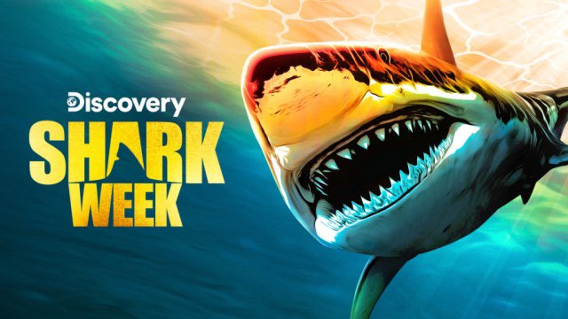 Ce vendredi on fête les 35 ans de <a href="/SharkWeek/">Shark Week</a> 🎂 Participez à la #cérémonie d’ouverture avec The Shark With a Thousand Names et Great White Shark Babies 😎 Rencontrez tout le monde au #cocktail <a href="/DiscoveryFR/">Discovery France</a> ! Réservez votre soirée 🦈 rb.gy/q6y8x #cinema