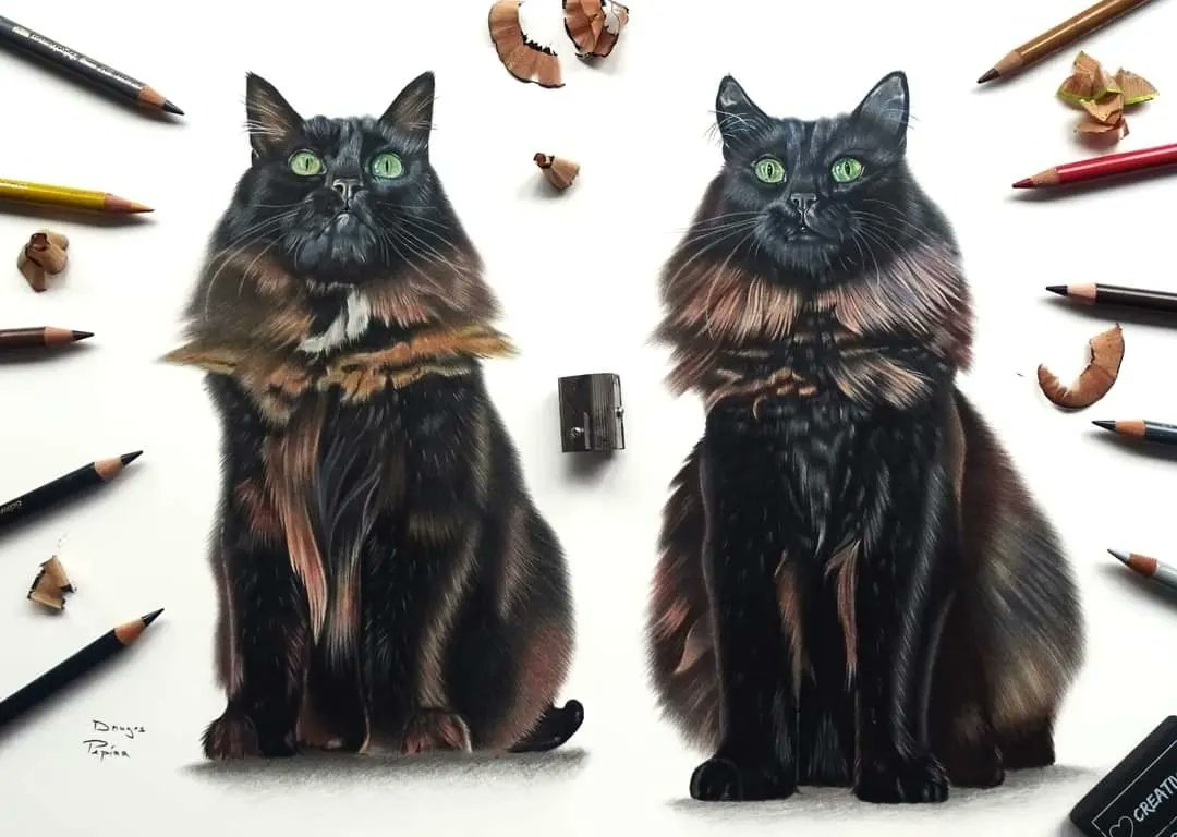 Traveling back in time to my colored pencil era, I stumbled upon these two gorgeous cats.
Meet Blacky (on the left) and Pucky (on the right), the beautiful Norwegian Forest Cats rendered in all their glory - a truly magnificent breed! 
#norwegiancat