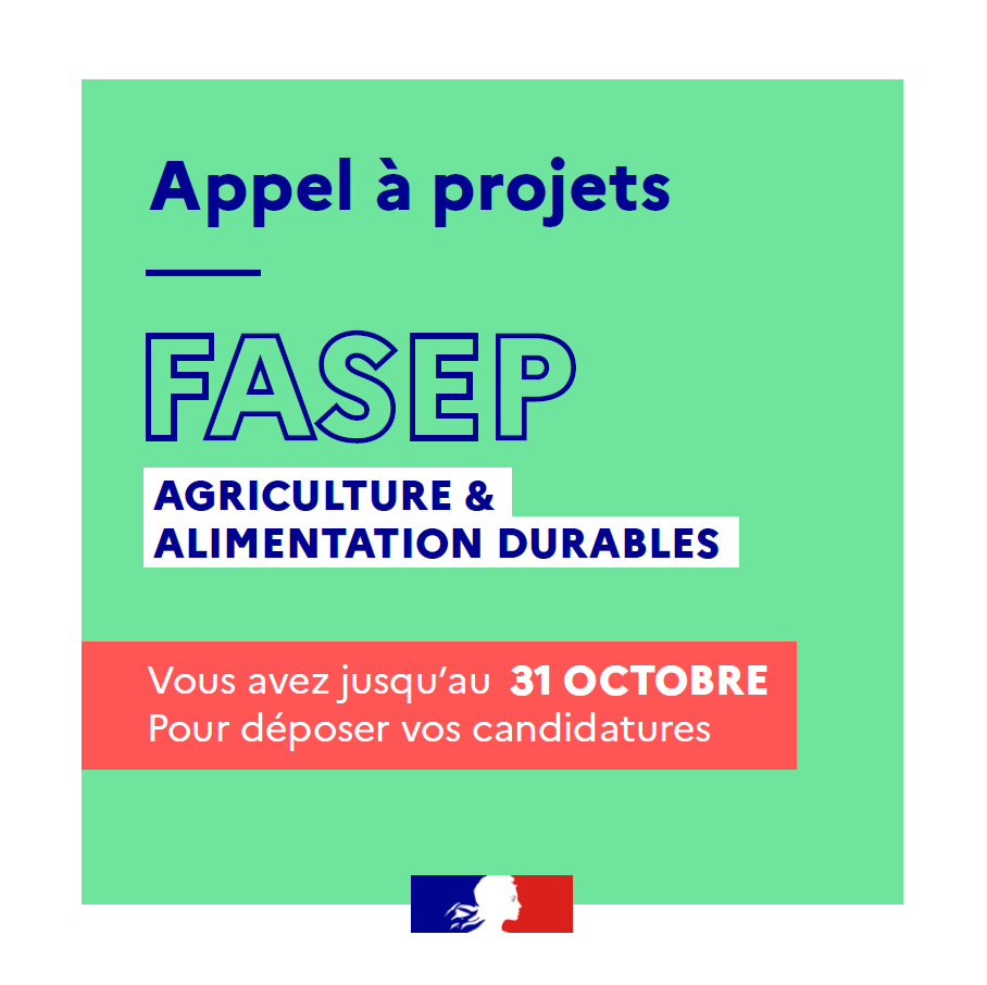 DGTresor's tweet photo. #Osezlexport | La #DGTrésor lance un nouvel appel à projets #FASEP pour financer des solutions innovantes portées par des entreprises 🇫🇷 dans l’agriculture et l’alimentation durables.
📆 Candidatez avant le 31 octobre.
Plus d’infos ▶️https://t.co/RouLtrQJN9 https://t.co/wfY6YgcemS