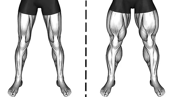 5 Best Exercises for big stronger legs (No Equipment)