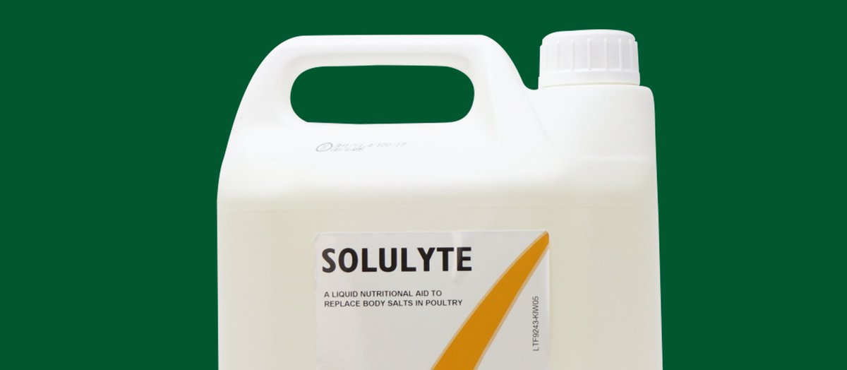 Solulytes are specialized liquid complementary feed nutritional aids designed to be your poultry's best friend during stressful times. Contact us at 01953 681 830 with any inquiries!

#PoultryHealth #FarmLife #AnimalNutrition #Agriculture #HealthyChickens