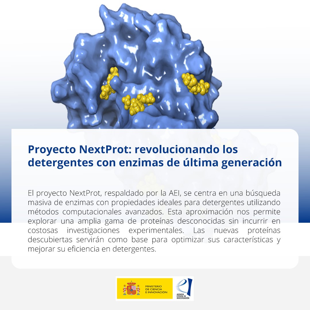 AgEInves's tweet photo. 🔬 #NextProt es un proyecto financiado por la #AEI que está revolucionando la forma en que pensamos sobre los detergentes. 

En lugar de depender de productos químicos, están explorando el mundo de las enzimas que pueden acelerar reacciones químicas de manera específica. https://t.co/ZpYwEeWyiF