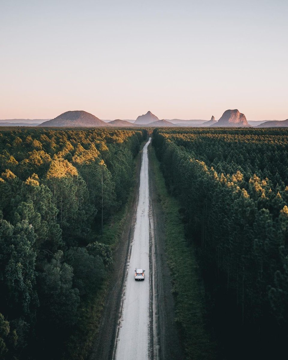 Cruising along the #GlassHouseMountains Tourist Drive, right through the heart of the forest 🌲 🌲 Looming ahead are the legendary hills, born out of ancient volcanic activity and icons of the Sunshine Coast region 🌄 💚 📸 credit: @spurwaya (instagram)
