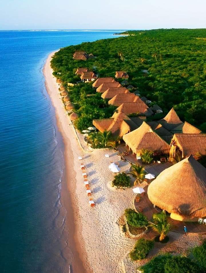 wesabiwaka's tweet photo. Here you have one of the most elegant and magnificent islands in Africa located in Madagascar.

Call out the name if you know it🤗
#touroperator #travel #visa #travelagency #travelagent #visaapplication #canada #todoaperu #القبض_على_قلوري #iPhone15 #Libya #iPhone15Pro #JUNGKOOK https://t.co/LyCaSnjSmp