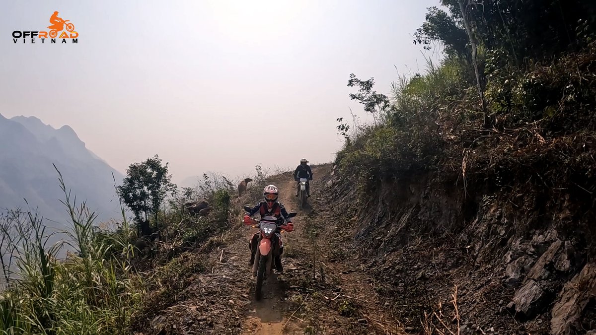 vietnamriders1's tweet image. You don't stop riding when you get old, you get old when you stop riding. 😍

🧭 vietnamoffroad.com

#offroadmotorbiking #youngatheart #younginspirit #vietnam #xuhuong2023 #trending2023 #motorbike #motorcycle #tour #rental #honda #XR250 #XR150L #CRF150L #CRF250L #CRF300L