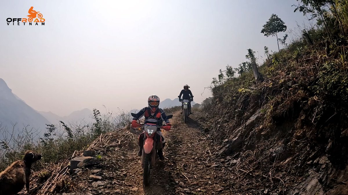 vietnamriders1's tweet image. You don't stop riding when you get old, you get old when you stop riding. 😍

🧭 vietnamoffroad.com

#offroadmotorbiking #youngatheart #younginspirit #vietnam #xuhuong2023 #trending2023 #motorbike #motorcycle #tour #rental #honda #XR250 #XR150L #CRF150L #CRF250L #CRF300L
